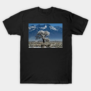 Frosted Tree T-Shirt